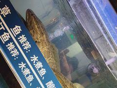-爱妻鱼•老体北重庆水煮鱼•川菜(白云路店)