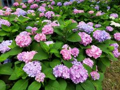 -新天地活力PARK