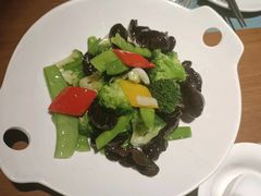 -大树餐厅(益田假日店)