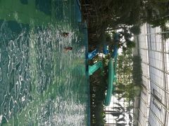 -龙达温泉生态城