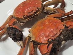 -金马门国际美食百汇(珞喻路店)