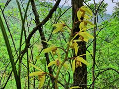 -鱼库·不仅是一家烤鱼店(车公庙店)