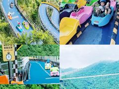 -大奇山国家森林公园