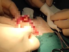 -萌兽医馆·宠物医院·猫骨科(创景店)