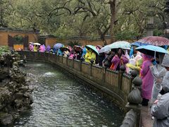 -普陀山风景名胜区-法雨禅寺