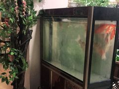 -清真磊磊烧烤老店(饮虎池街34号店)