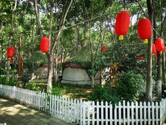 -草根堂农场