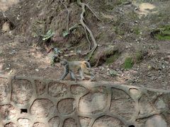 -黔灵山公园