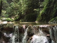 -牛背梁国家森林公园