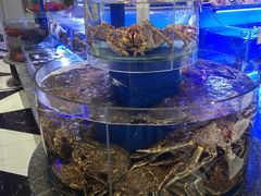 水产区-新海渔港·胶东海鲜家常菜·家宴(奥体中心店)