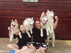 -TrueLove @ Neverland (Husky Cafe)