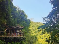 -莫干山风景区