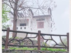 -大塘金香草谷
