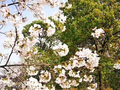 -幕燕滨江·长江观音景区