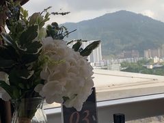 -哈布斯扒房(华发商都店)