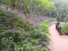 -重庆工商大学(南岸校区)