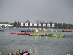 -溱湖国家湿地公园