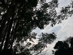 -汕头莲花山度假村温泉