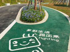 -王借岗森林公园