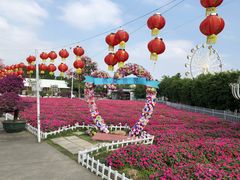 -广东花都香草世界旅游度假区