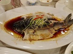 豉汁蒸大鲮鱼-太子园林酒家