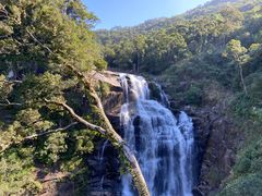 -海南热带雨林国家公园吊罗山景区
