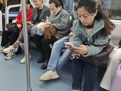 -大龙山(地铁站)