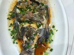 -金海湾海鲜排档(朱家尖店)