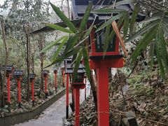 -杭州西湖风景名胜区-满觉陇四眼井