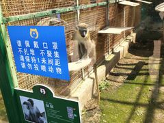 -无锡动物园·太湖欢乐园