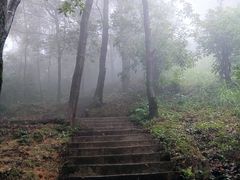 -广州市帽峰山景区