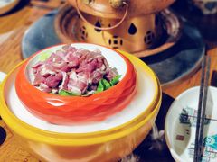 手切鲜羊肉-额尔敦草原涮羊肉·烧烤(冻青树总店)