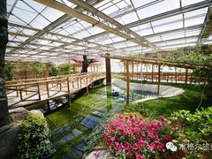 iphone_upload_pic-水镜湖