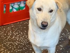 -夹夹大·蟹蟹大排档(财富又一城店)