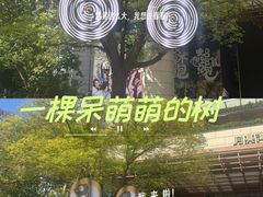 -瑞虹新天地月亮湾