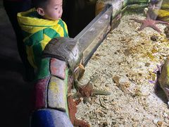 -嘉兴海底世界