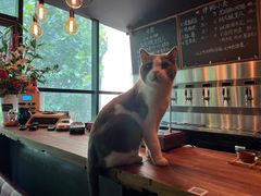 -后院儿·精酿·塔罗Happy Bar