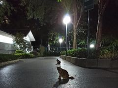 -晓港公园