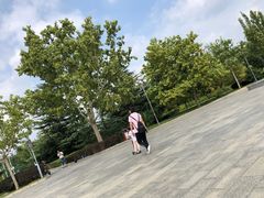 -滨河世纪广场公园