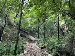 -大岭沟猕猴桃谷风景区