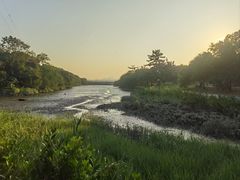 -福田红树林生态公园