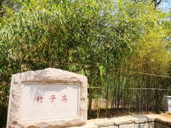 -竹子庵公园