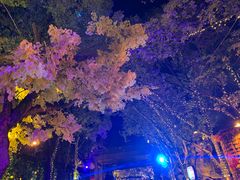 -横店影视城梦幻谷园区