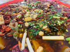 -东吴霸王兔(松青路店)