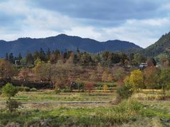 -塔川景区