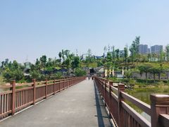 -枫香湖儿童公园