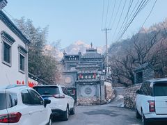 -老张烤羊(王哥庄店)