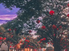 -大唐不夜城