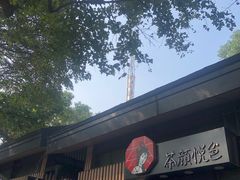 -茶颜悦色(岳麓山顶店)