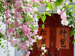 -深圳国际园林花卉博览园
